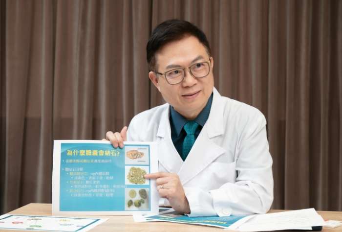 膽結石的成因